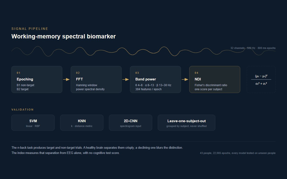 EEG Working-Memory Biomarker