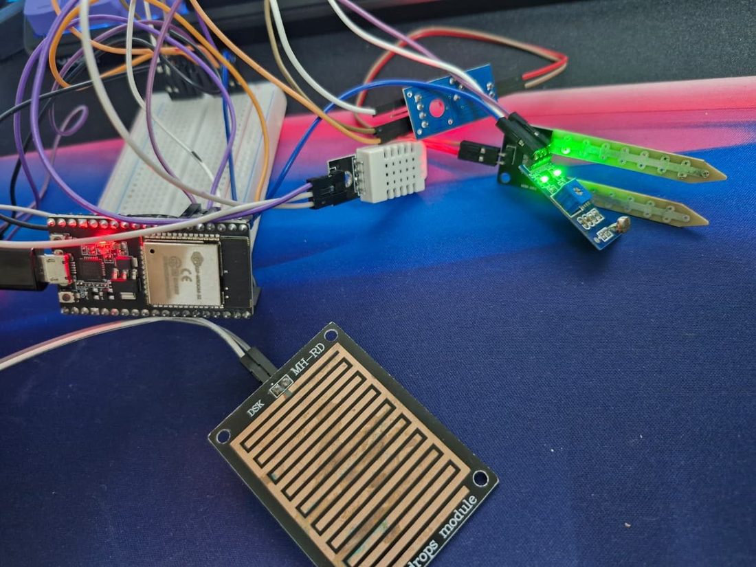Soil probe and light sensor on their comparator boards.
